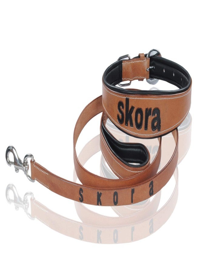 Skora Collars - Padded Leather Dog Collar, Custom Handmade Hand Tooled (Large) - Image 1